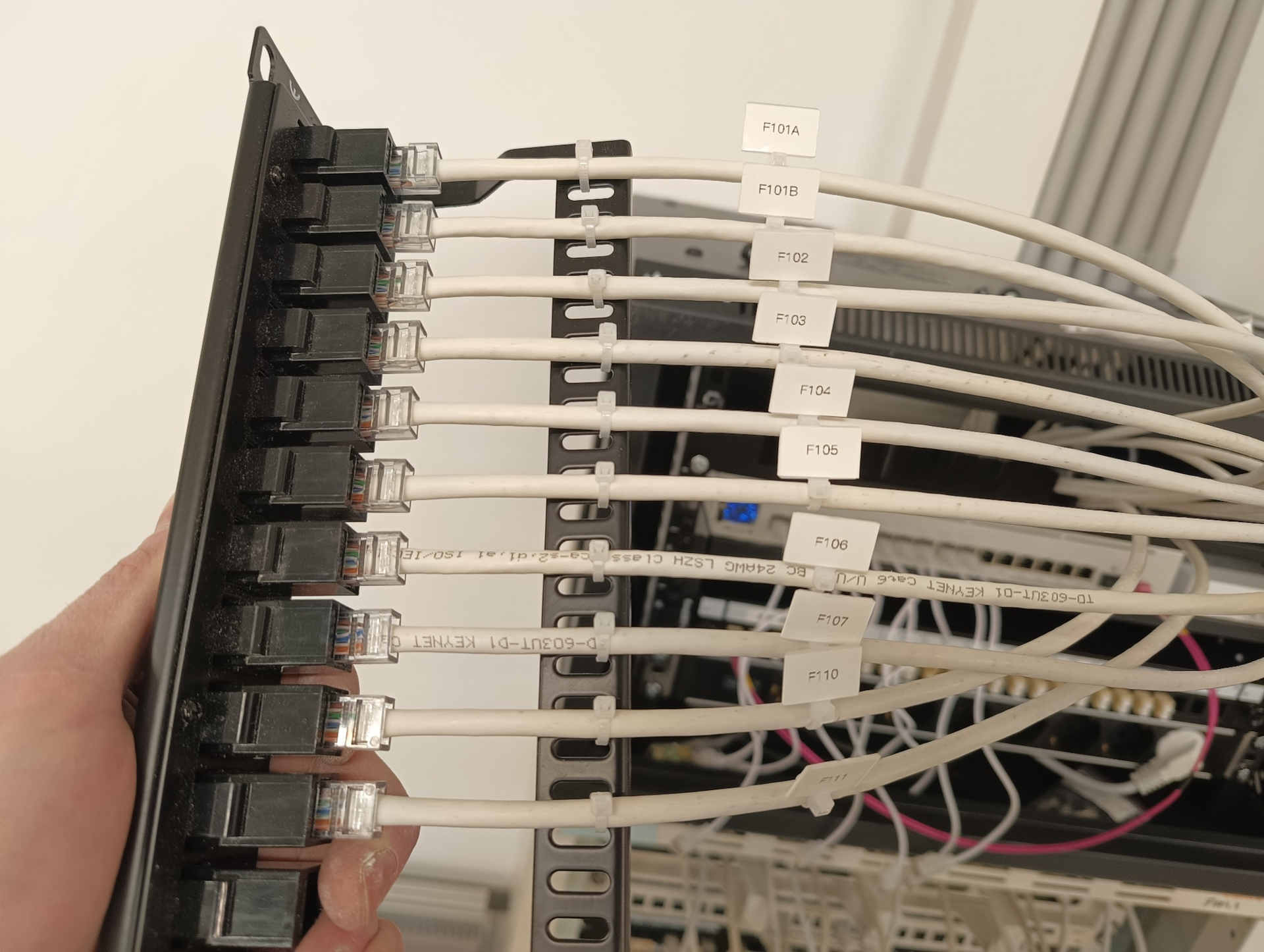 Panel de parcheo RJ45 doble hembra con cableado UTP etiquetado Conexión del cableado UTP a panel de parcheo RJ45 doble hembra, con cables embridados y etiquetados por aula para facilitar el mantenimiento y la gestión de la red